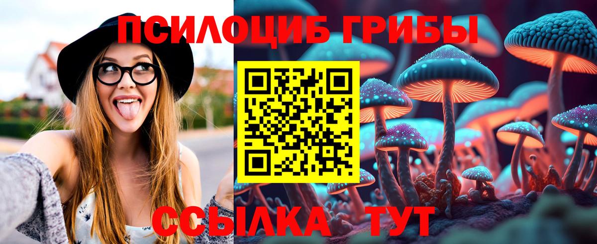 Псилоцибиновые грибы Psilocybe  Псилоцибиновые грибы прущие грибы  закладки  Вход с VPN  Дзержинский 
